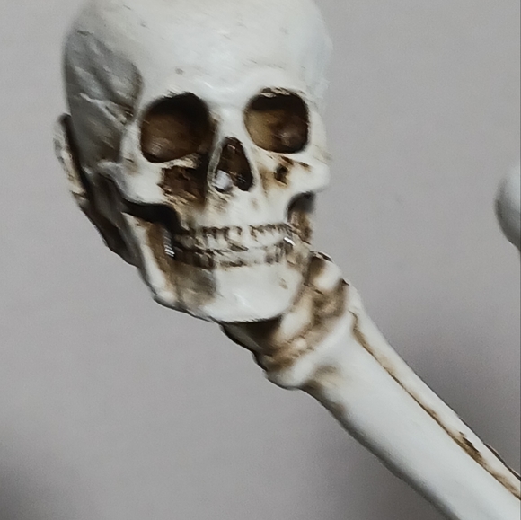 Martha Stewart Halloween Skull Gothic Candelabra 3 Arm Taper Candle Holder - Picture 6 of 15